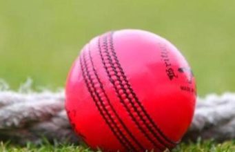 A specific request regarding the pink ball ahead of Day-Night Test A specific request regarding the pink ball ahead