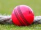 A specific request regarding the pink ball ahead of Day-Night Test A specific request regarding the pink ball ahead