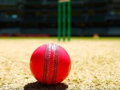 Test match with India will have pink-ball in play: Assumes Mitchell Starc Nitin Menon had signaled Chris Jordan for a short run