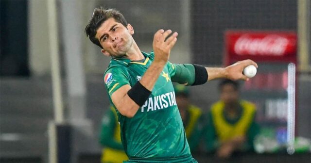 PCB denies rift in team after successive defeats